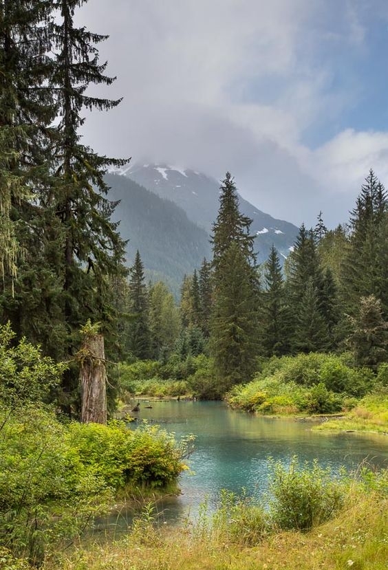 Tongass National Forest